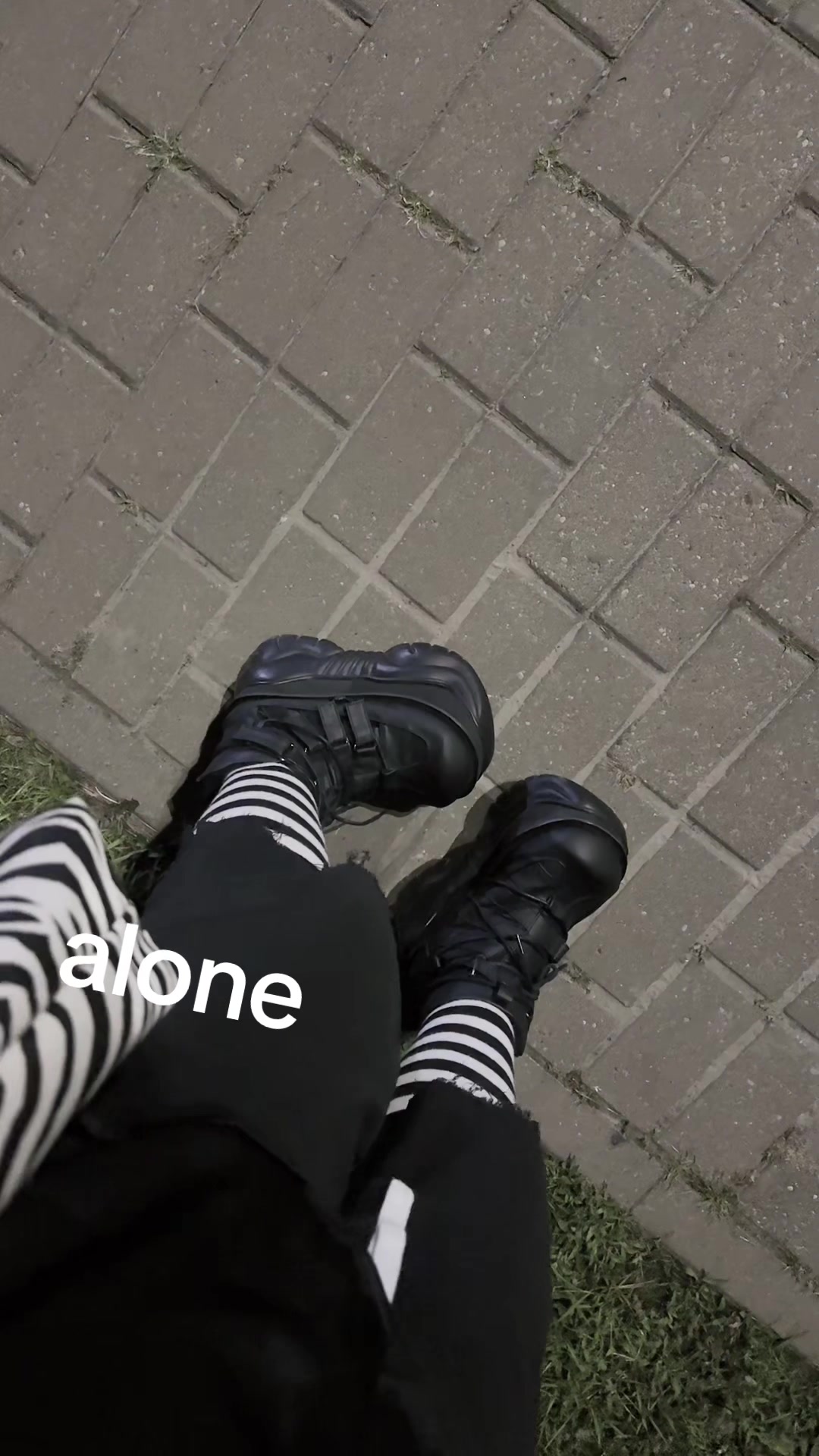 @alikoya