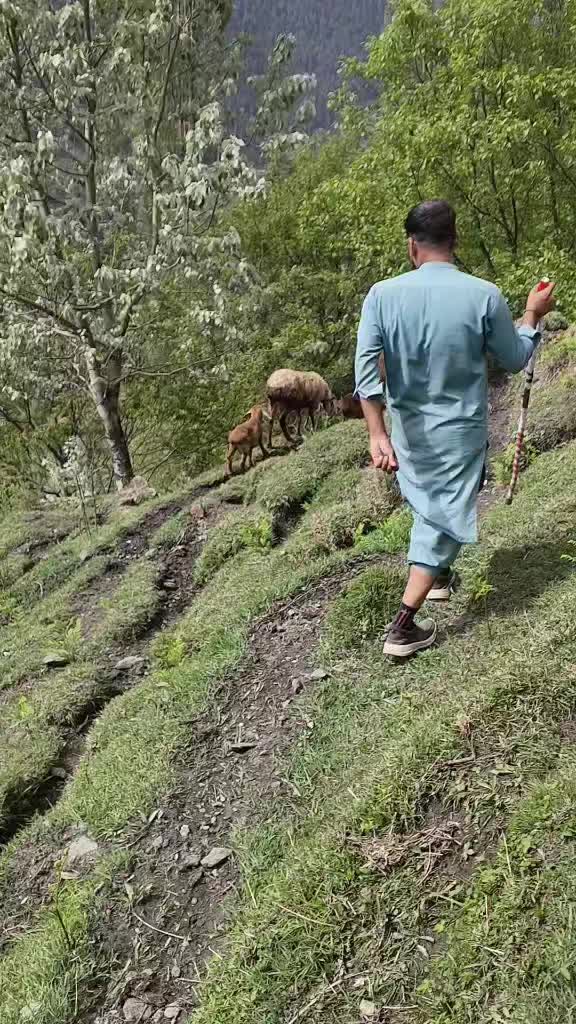 @Yasir awan