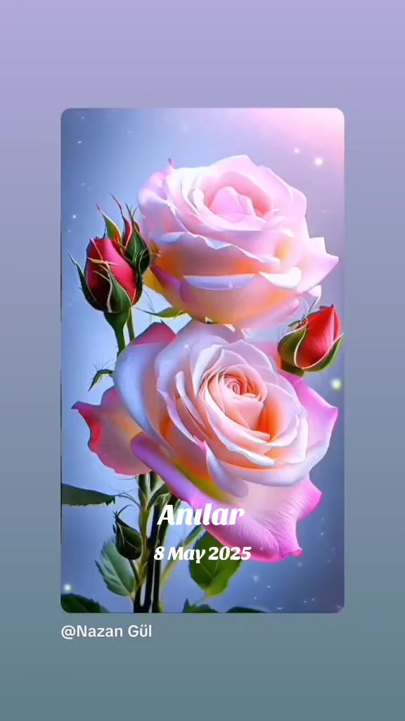 @🌹🌹Nazan Gul 🌹🌹