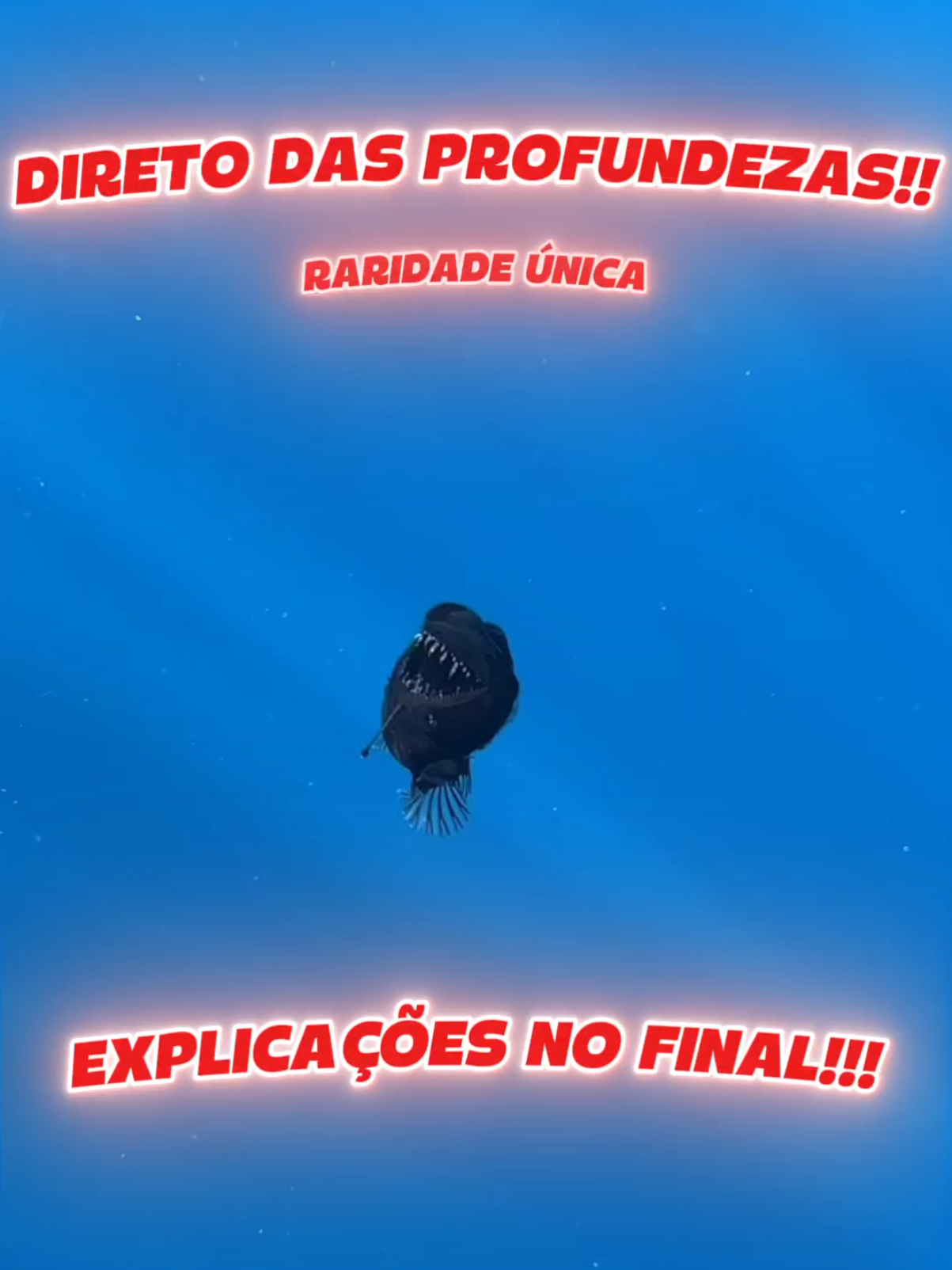 @Curiosidades sobre Biologia
