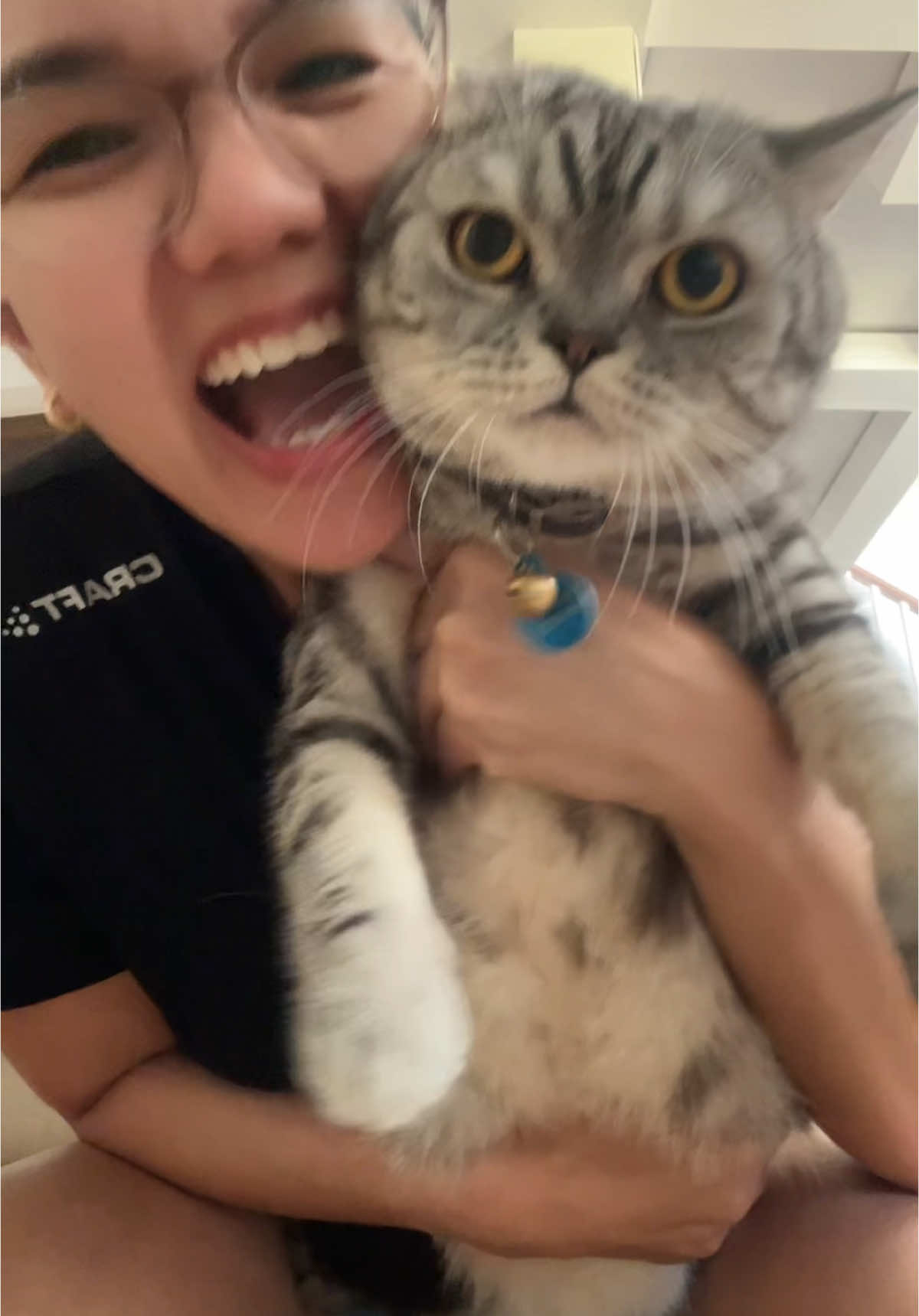 @BecauseCats