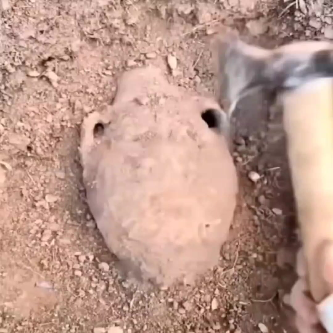 @TuffSeth