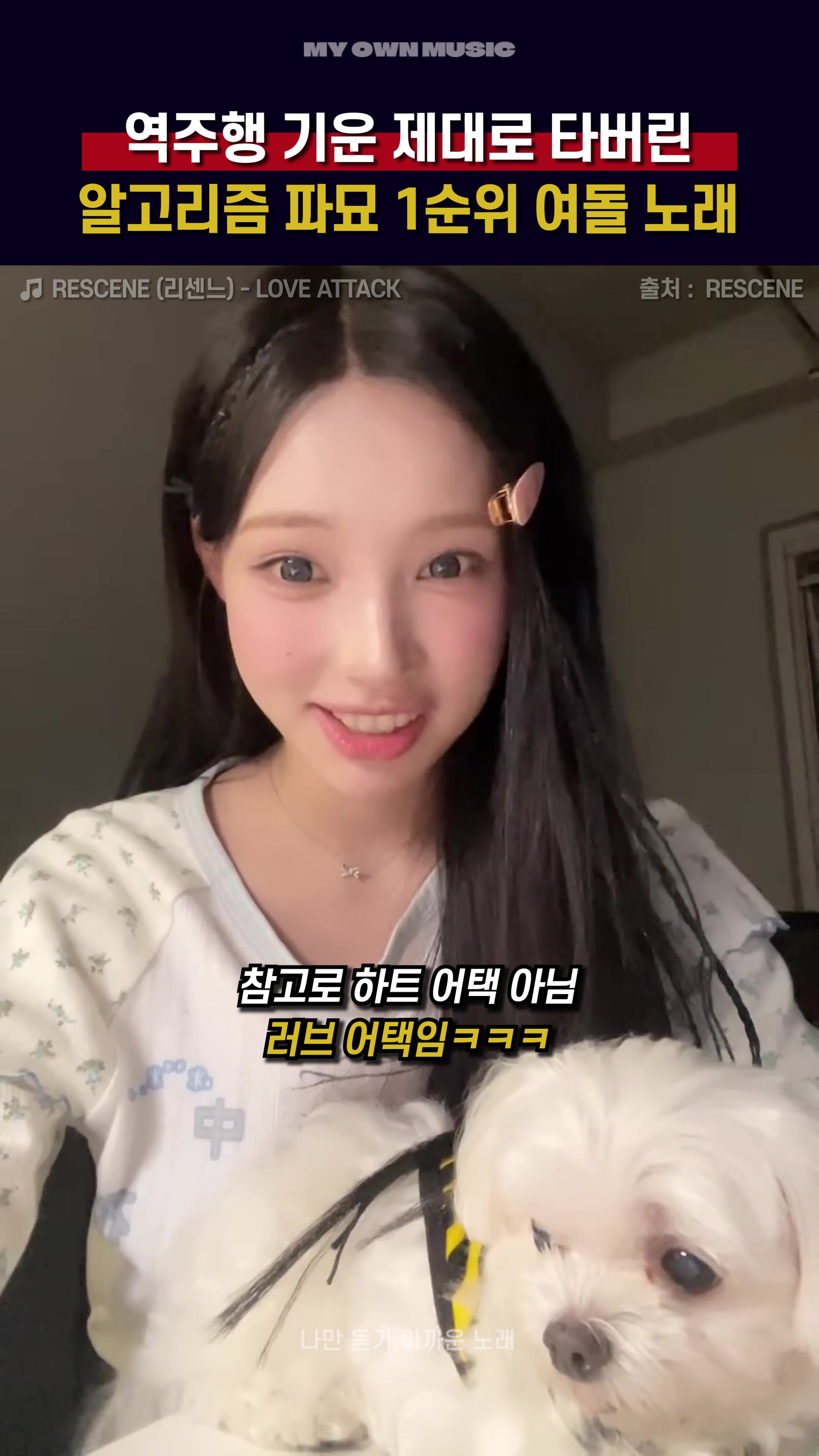 @나만 듣기 아까운 노래