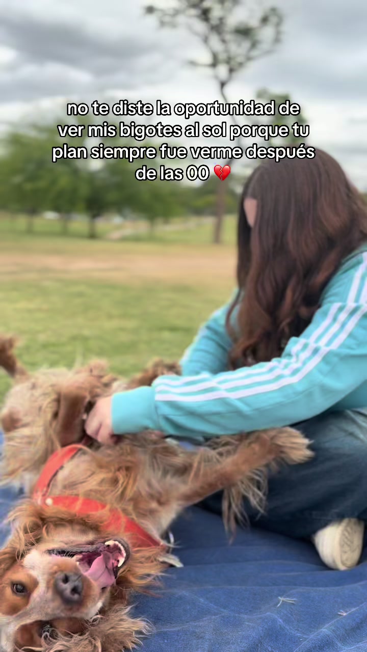 @prepara las nalgas porque iri