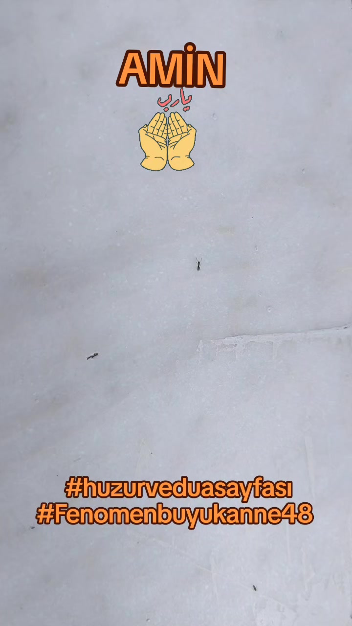 @Fenomenbuyukanne48