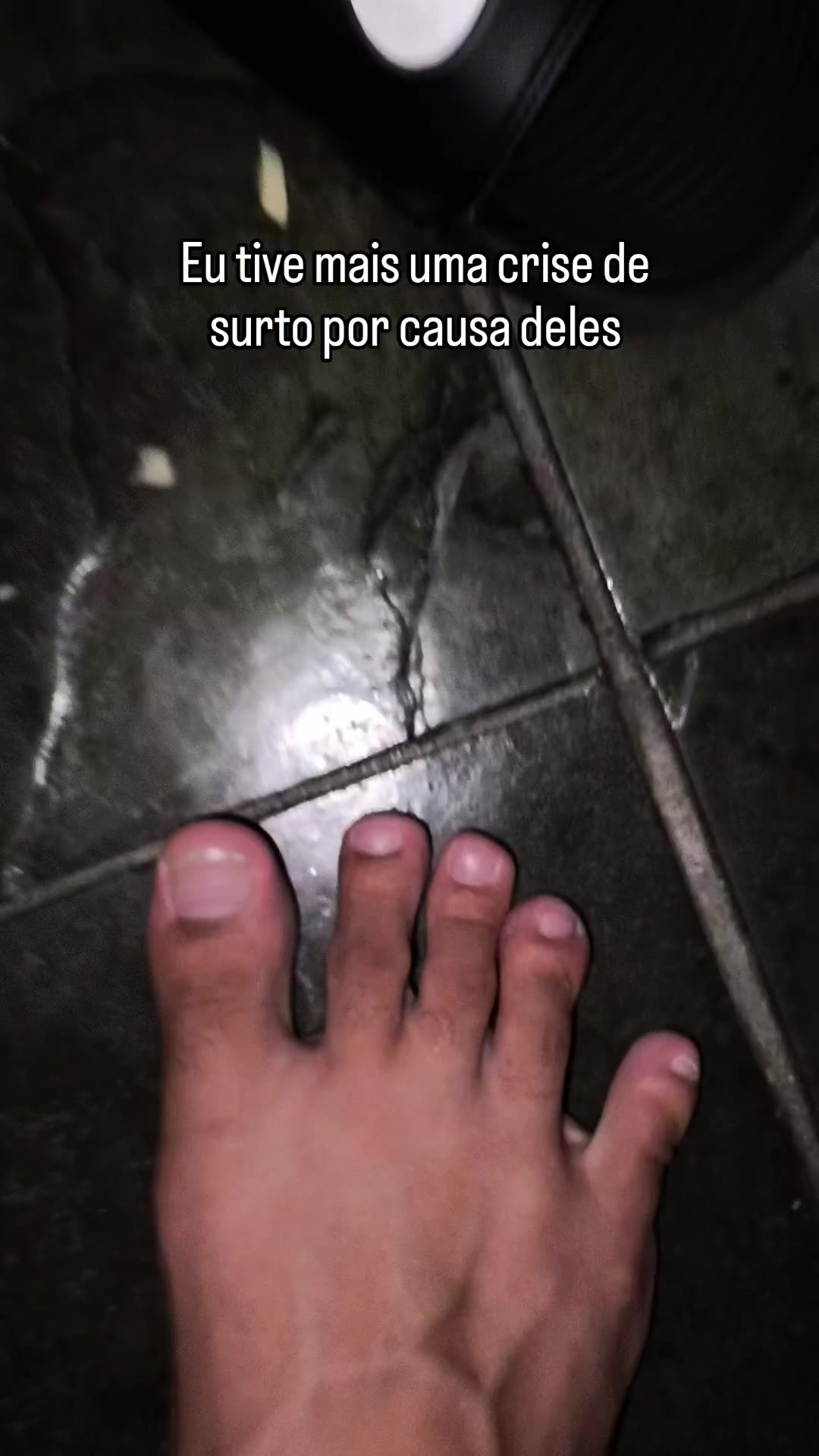 @Freitas