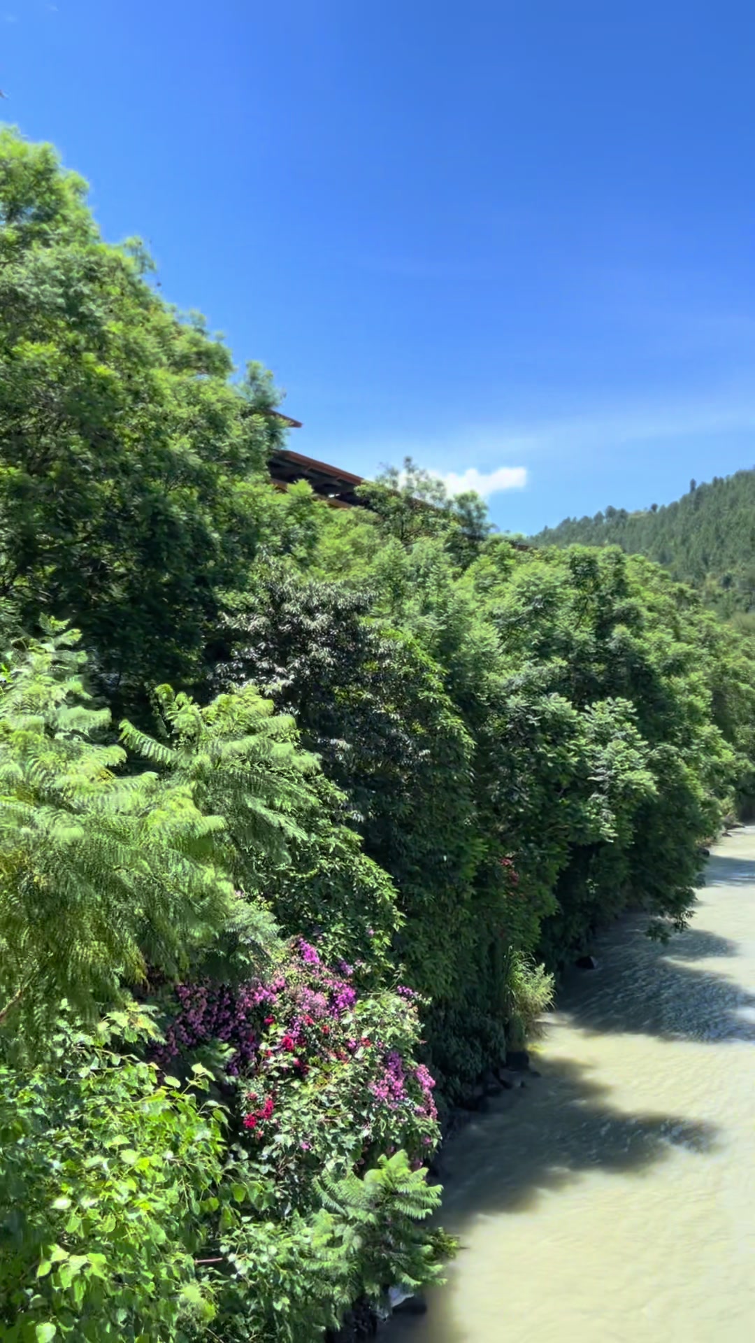 @མོ