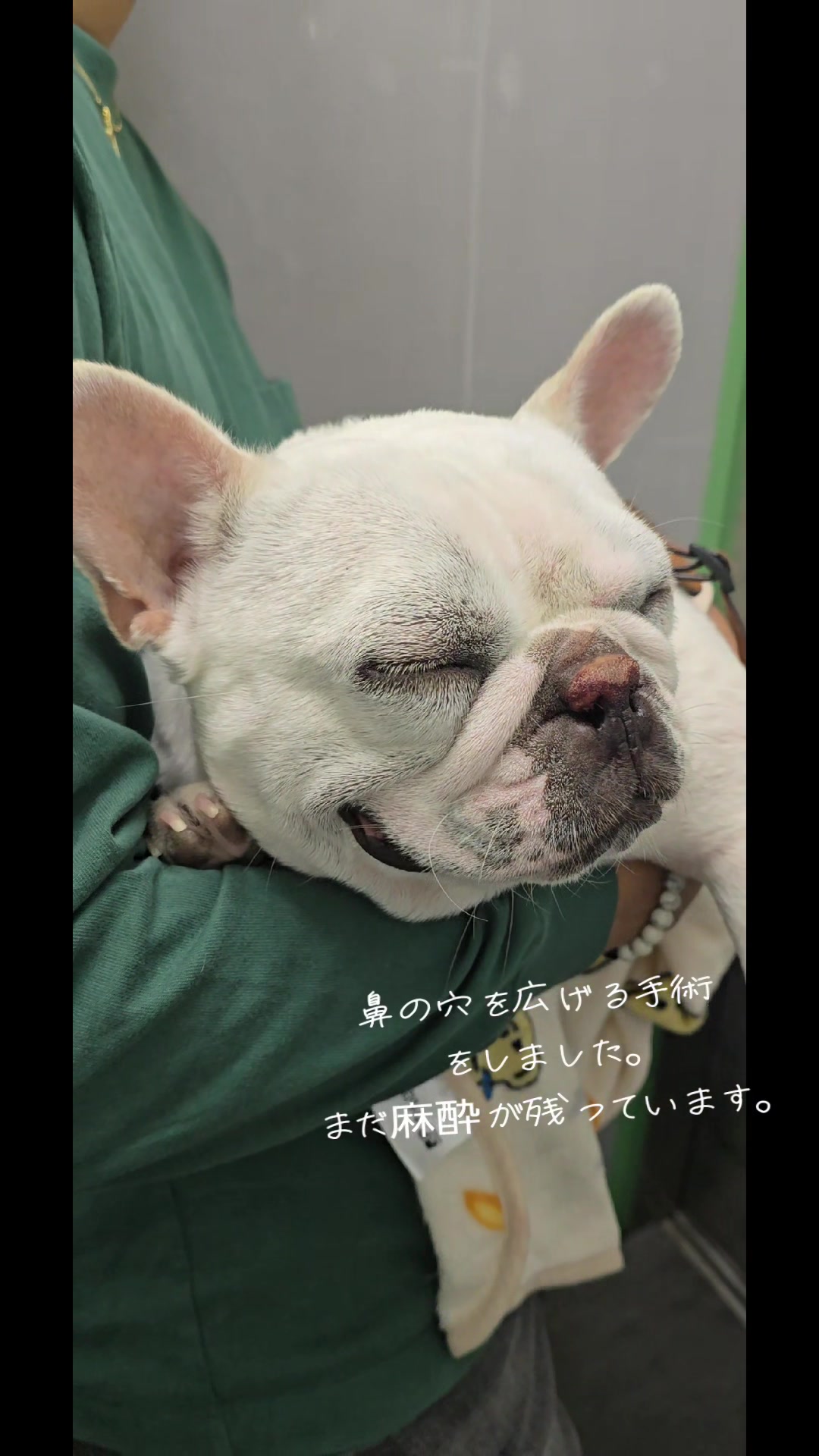 @フレブルJesse ❤️ MyO