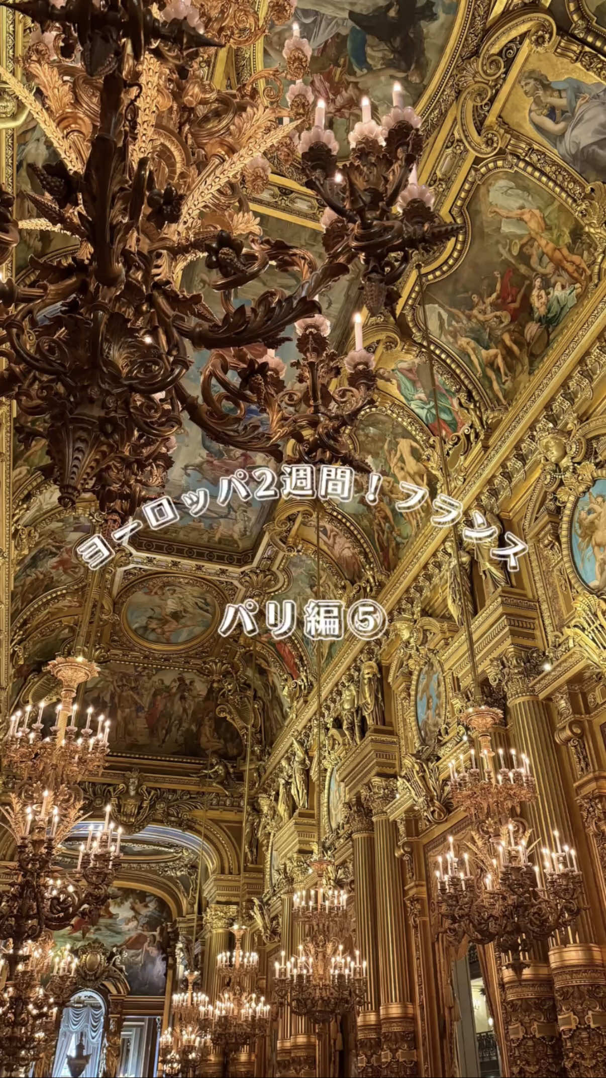 @Shio | 30歳気まま旅🧳