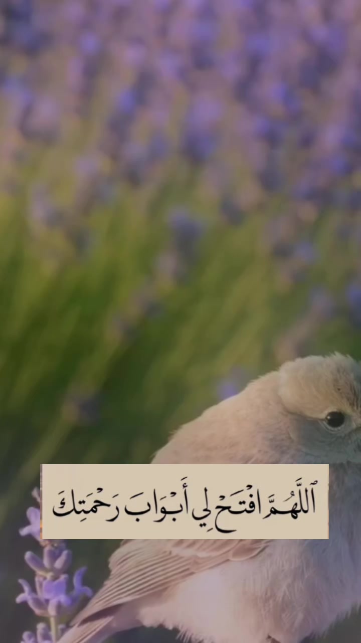 @روح وريحان
