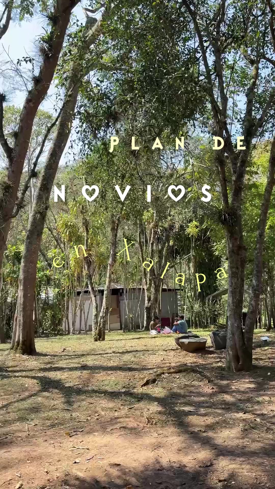 @camadelibros