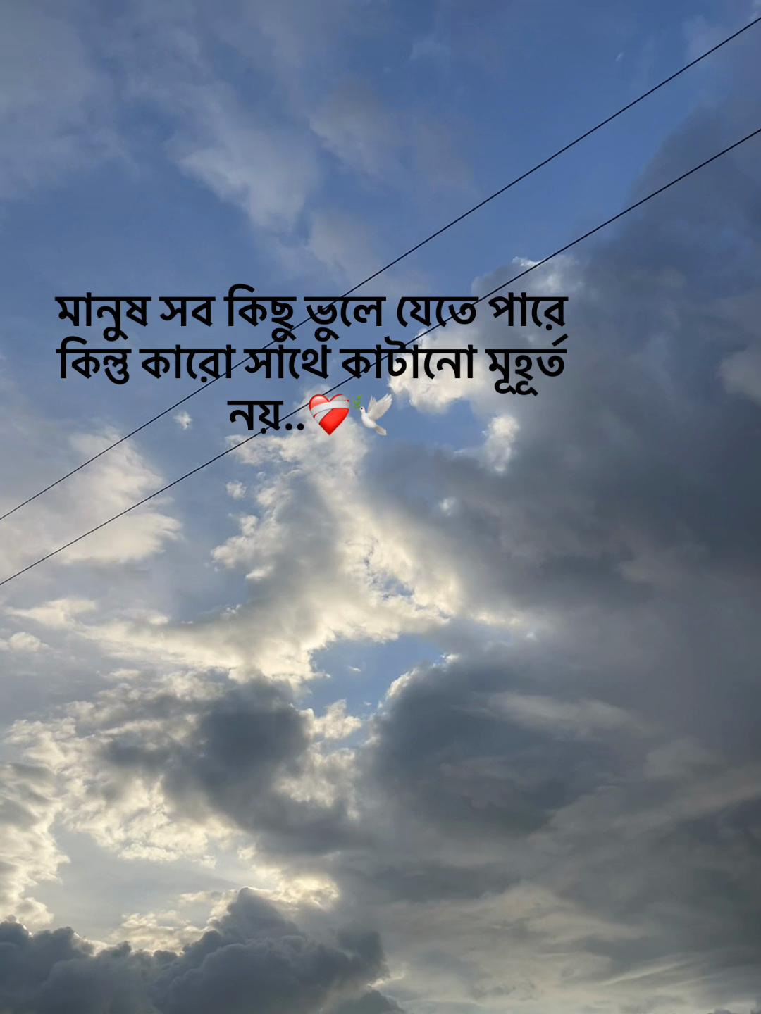 @S_A_Y_M_O_N🥰SAMMIHA🥰