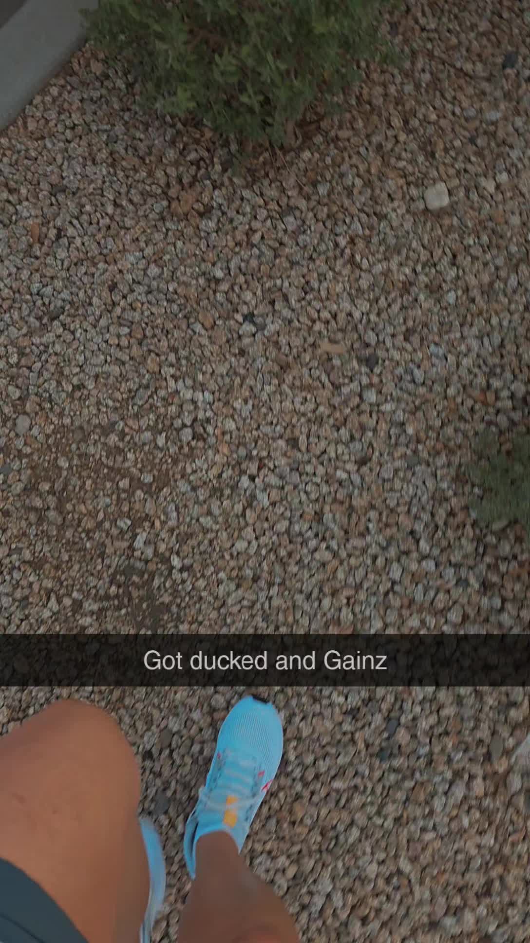 @🌵