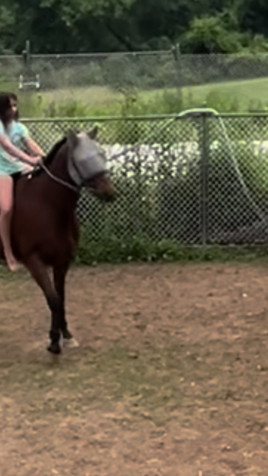 @Ava Steward