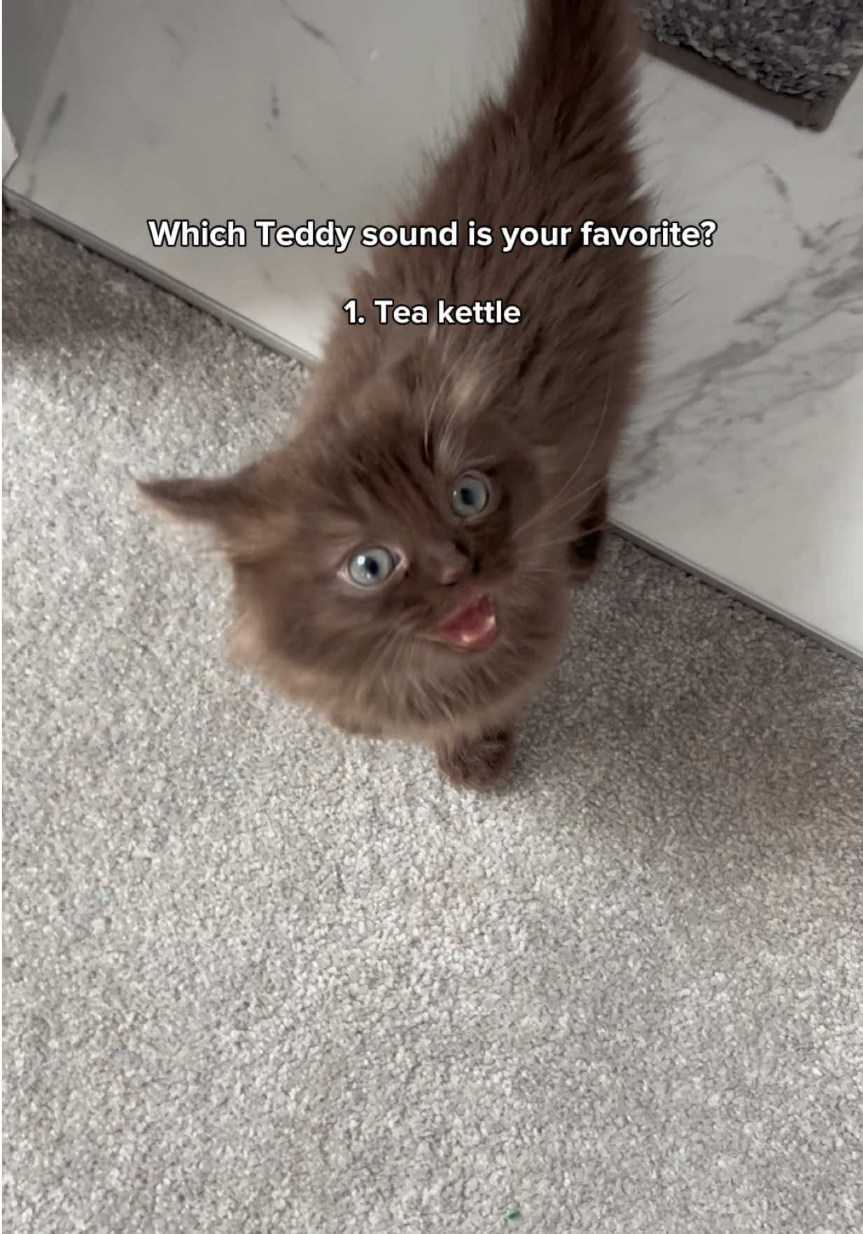 @Freya & Teddy