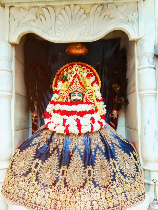 @shree shyam premi🫶🚩🕉️✨