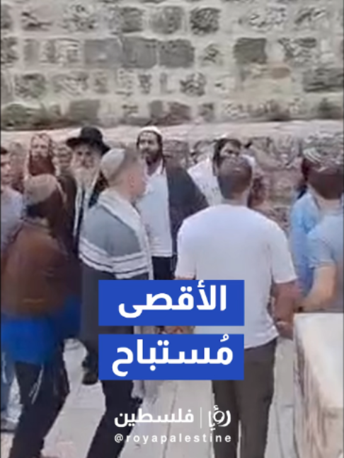 @Royapalestine رؤيا فلسطين