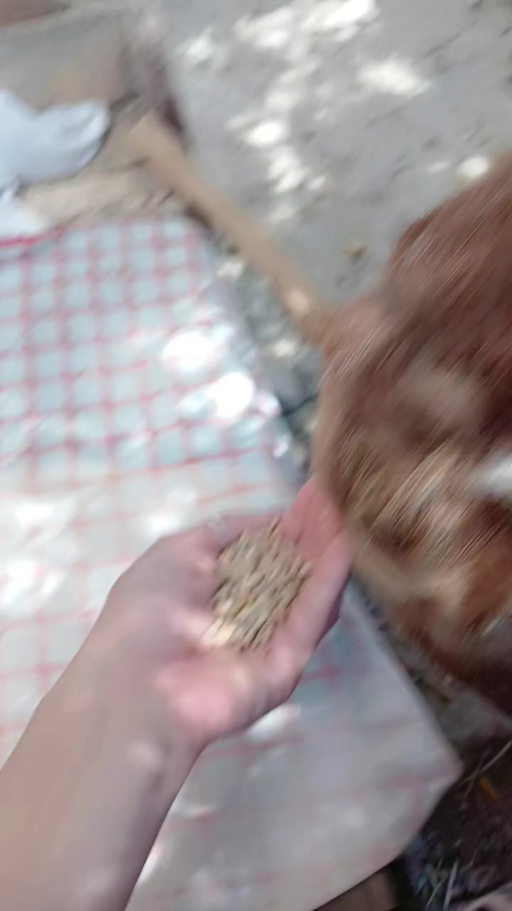 @WïJDën
