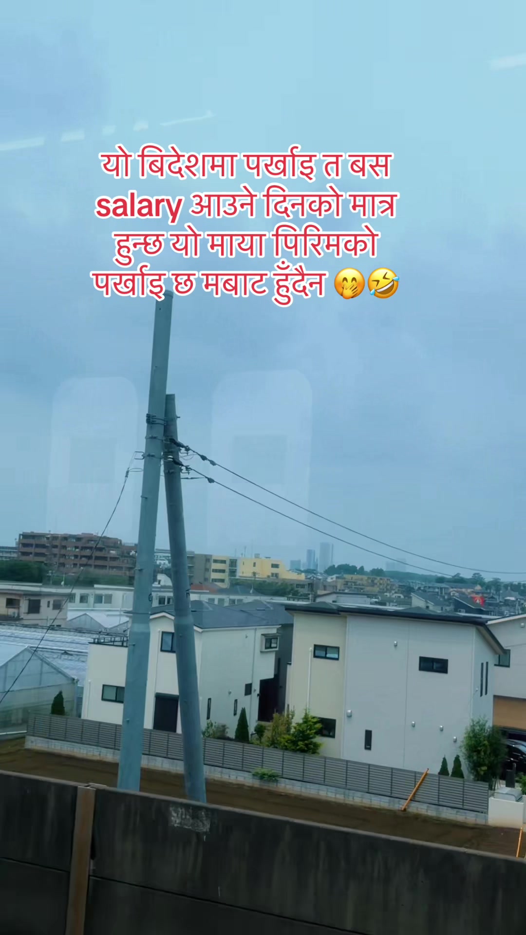 @🕊️