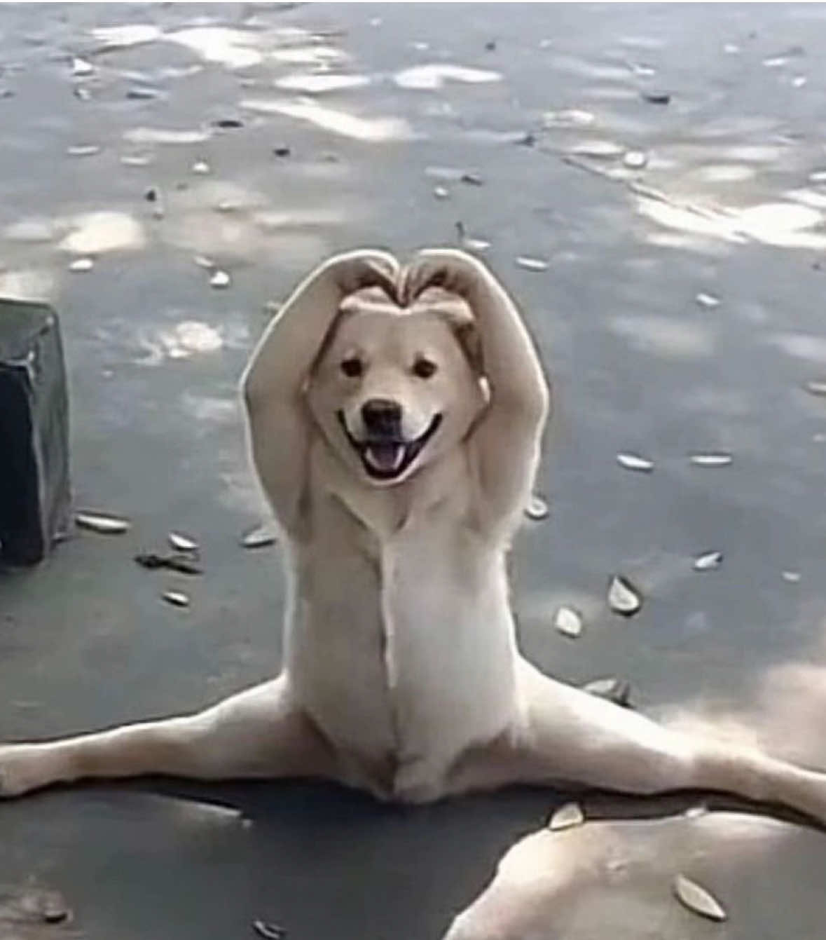 @๐๐๐