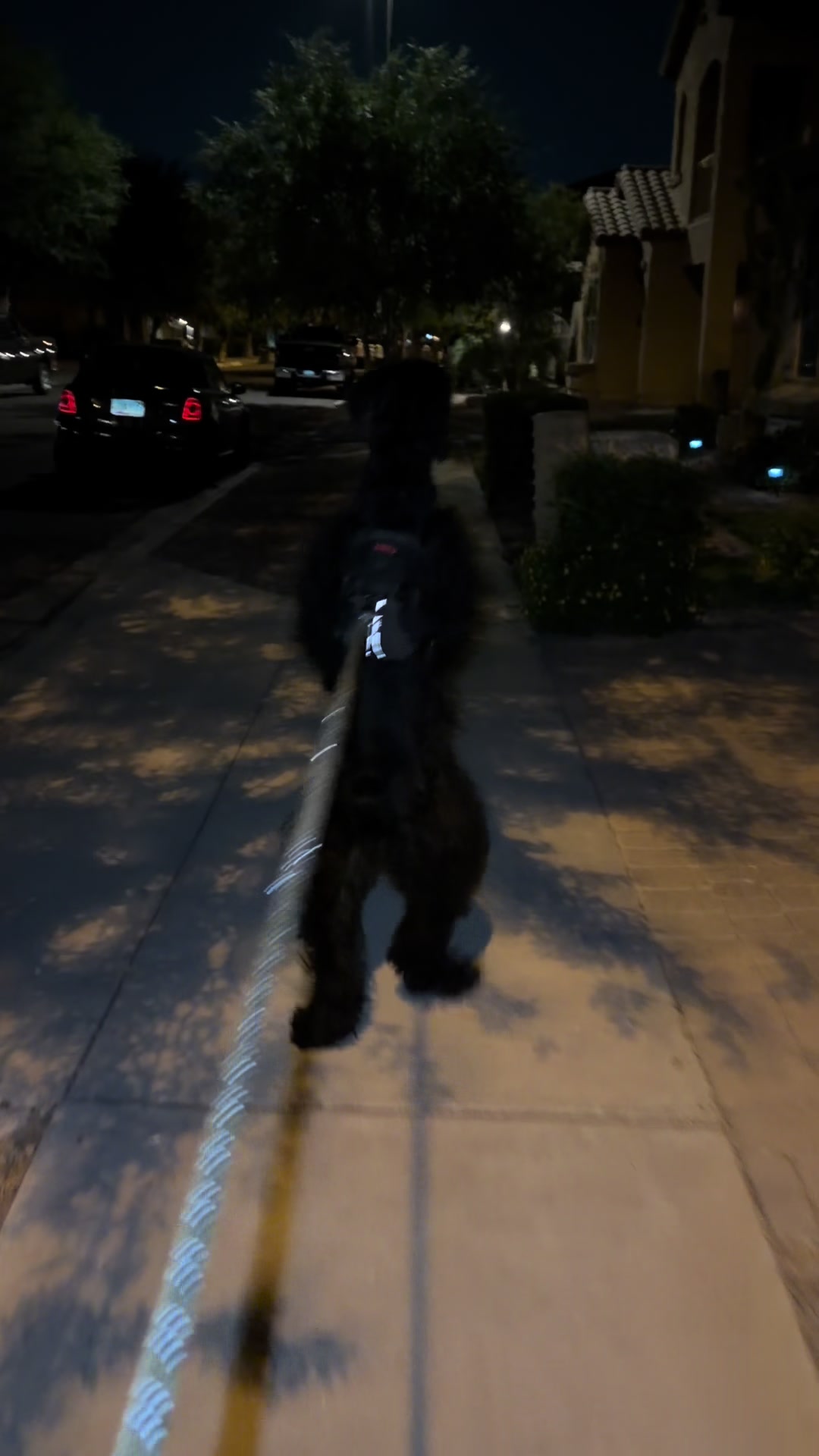 @Fiona Walks