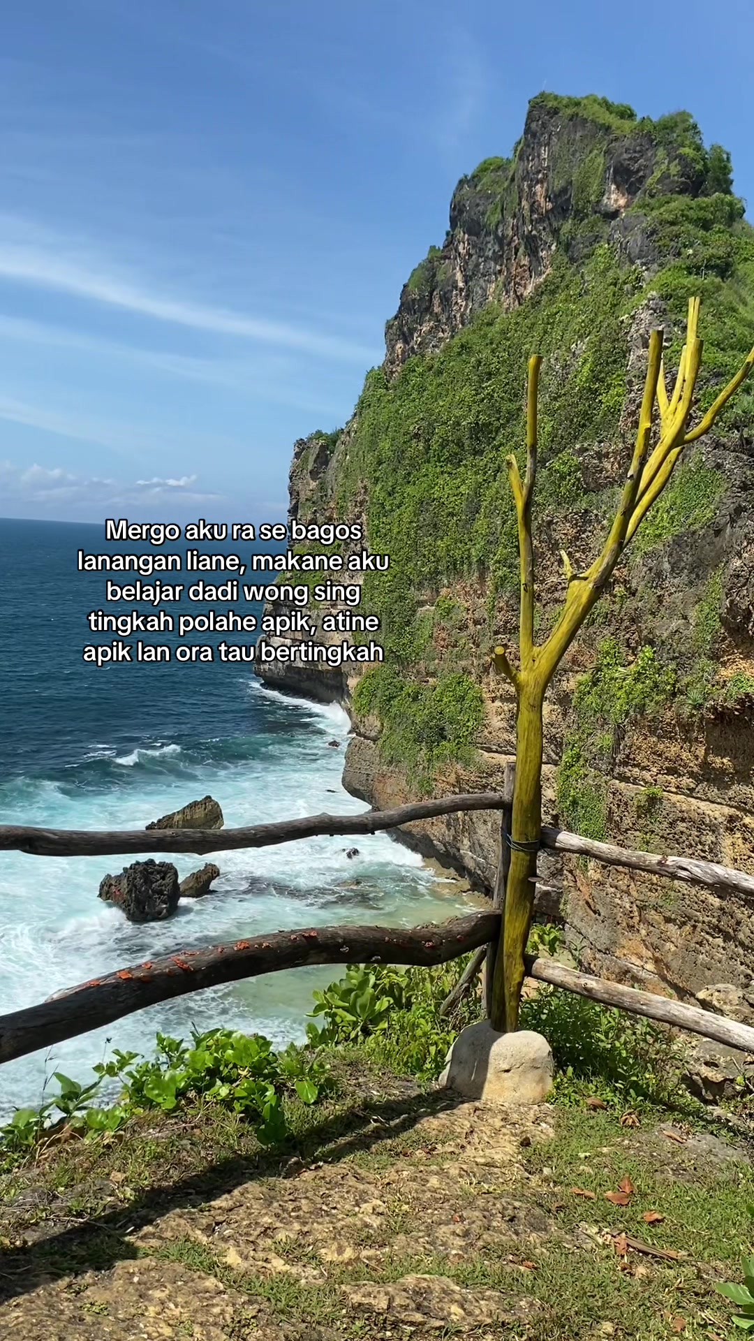 @ArifDwiyanto| IG:aref_dwiyanto