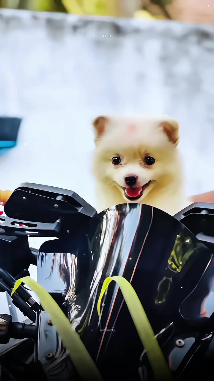 @đżđ
źď¸đď¸^đť^đđđđđź