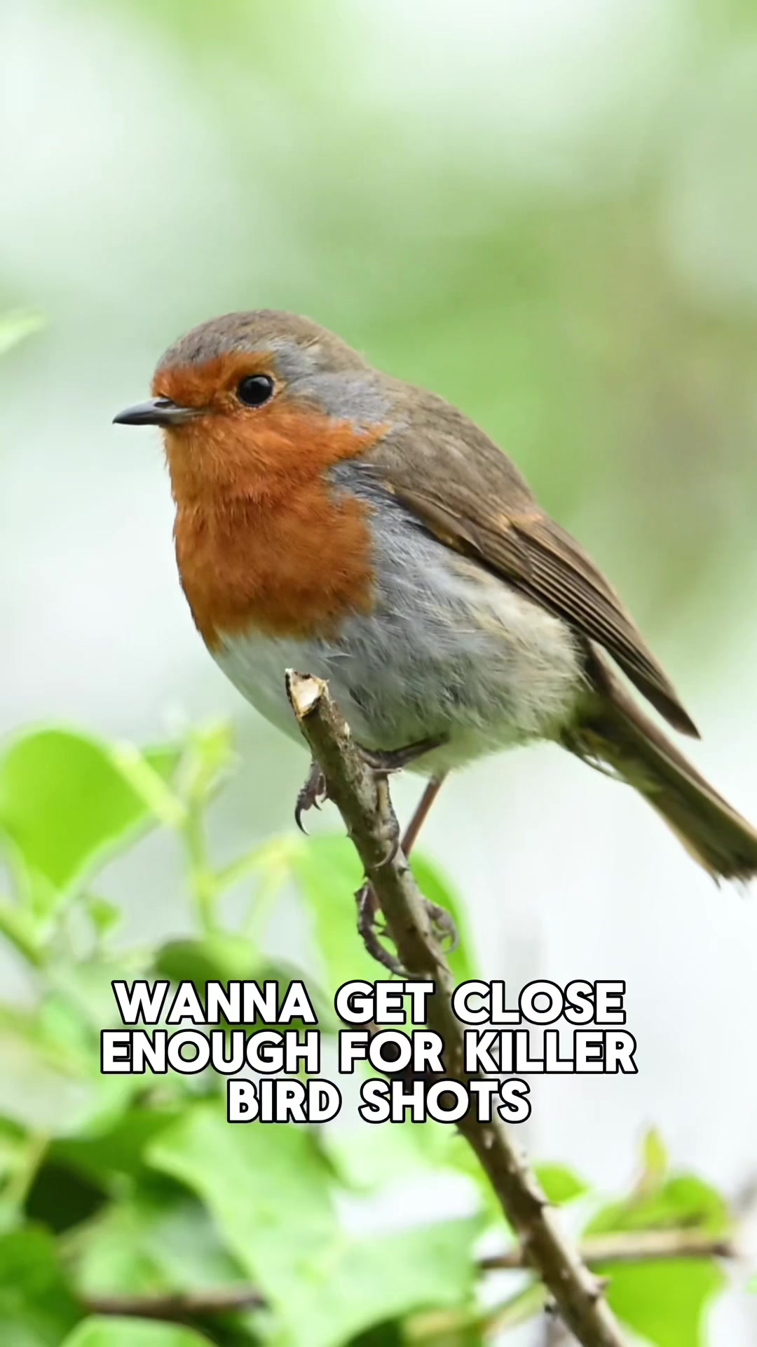 @Trav in the Bush