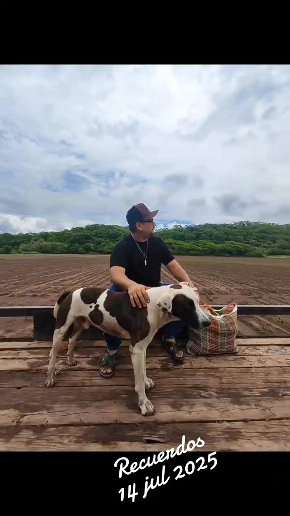 @Que bonito es lo 🐺 bonito🤠