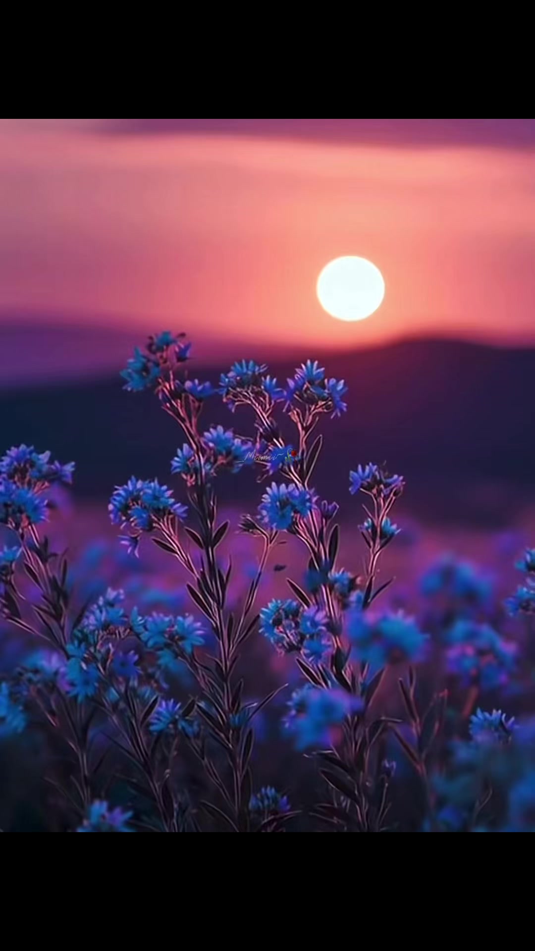 @ִֶָ🦋་༘࿐𝔪Ⓘ𝐦ⓘ ִִֶֶָָ🦋་༘࿐