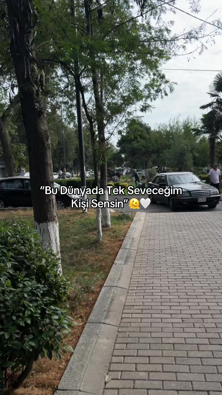 @Ağayevsss⚡️