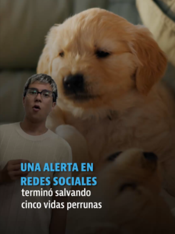 @elheraldodemexico