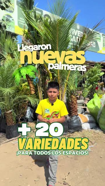 @VIVERO LAS G🦁RDENIAS|TRUJILLO