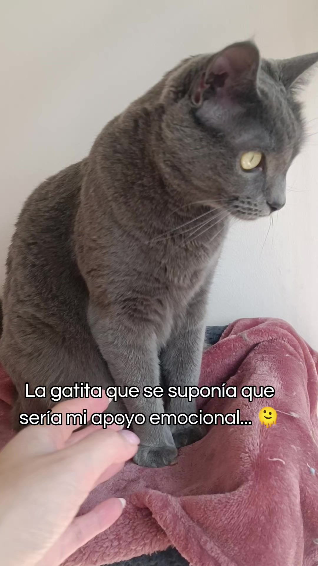 @Paulina Eguez Torres