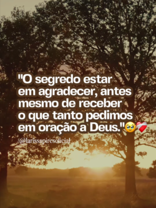 @Larissa Pires
