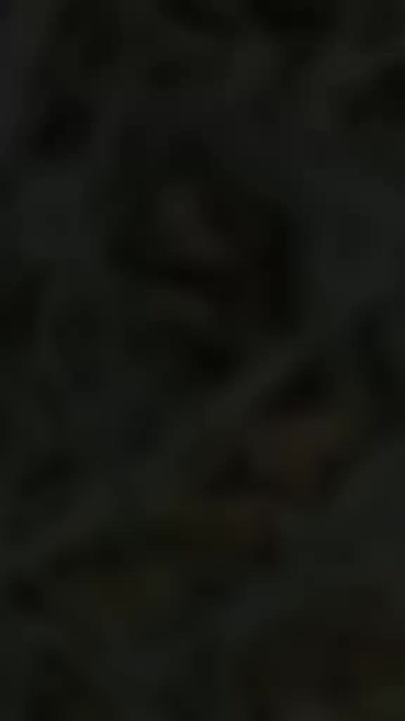 @๐ฆ ๐๐ฎ ๐ฉ ๐ถ : ๐ค๐