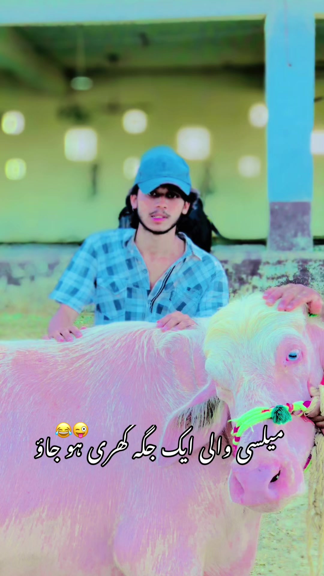 @Janu Oye 🫠🥺