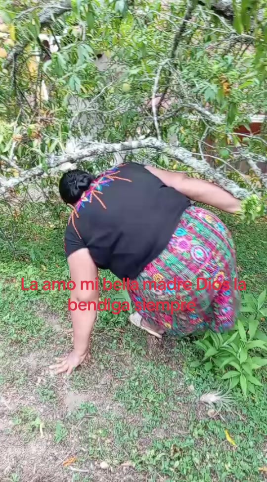 @lancerio