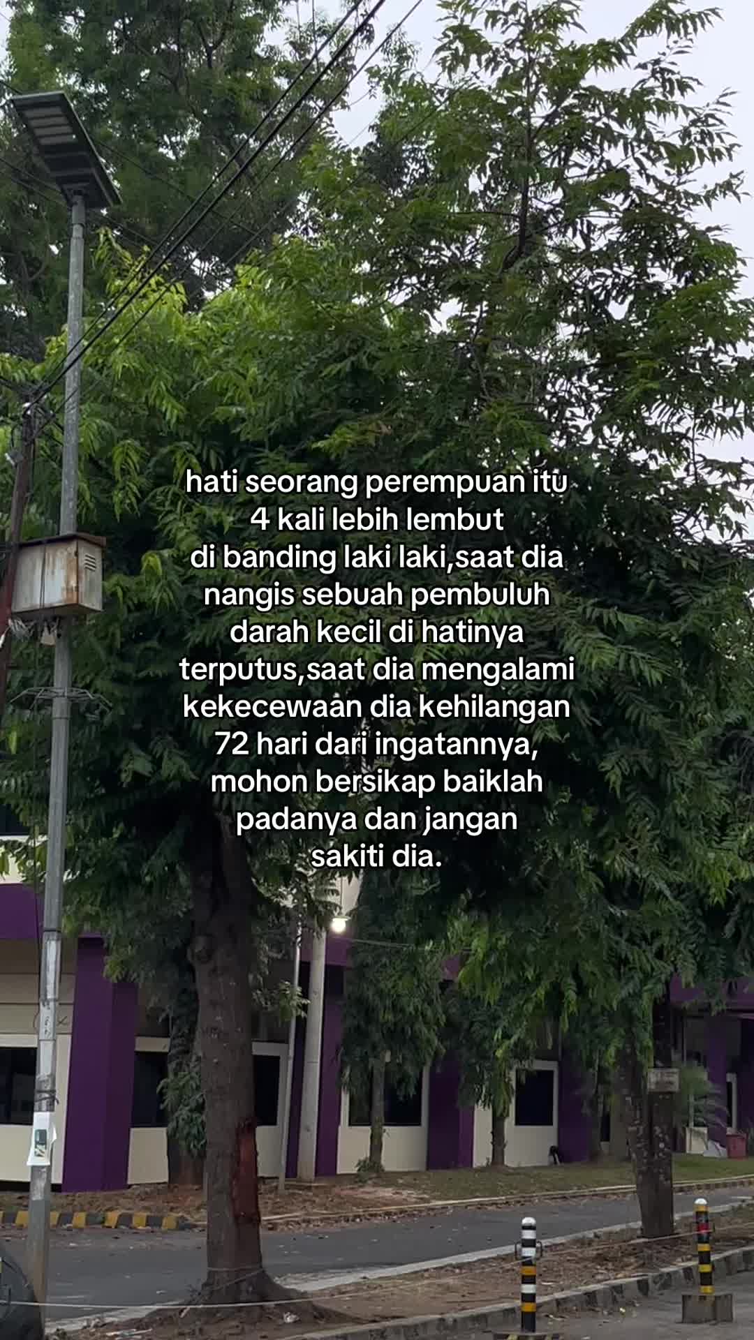@Hey male