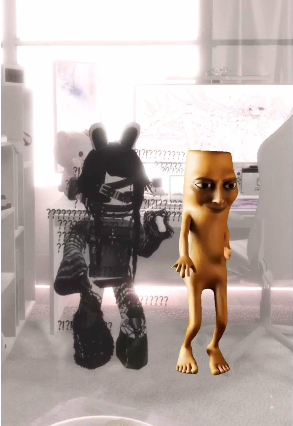 @/ᐠ - ˕ -マ Ⳋ