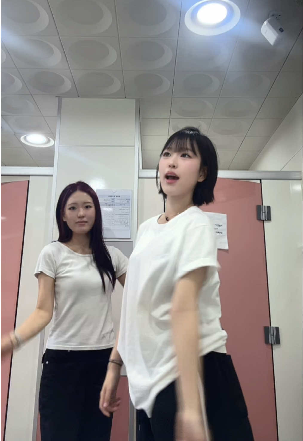 @애기콩