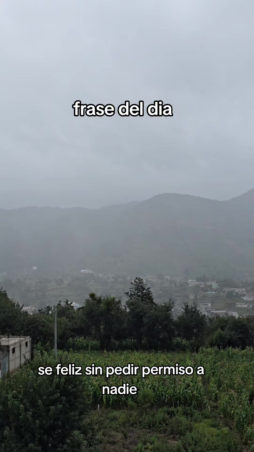 @solitario