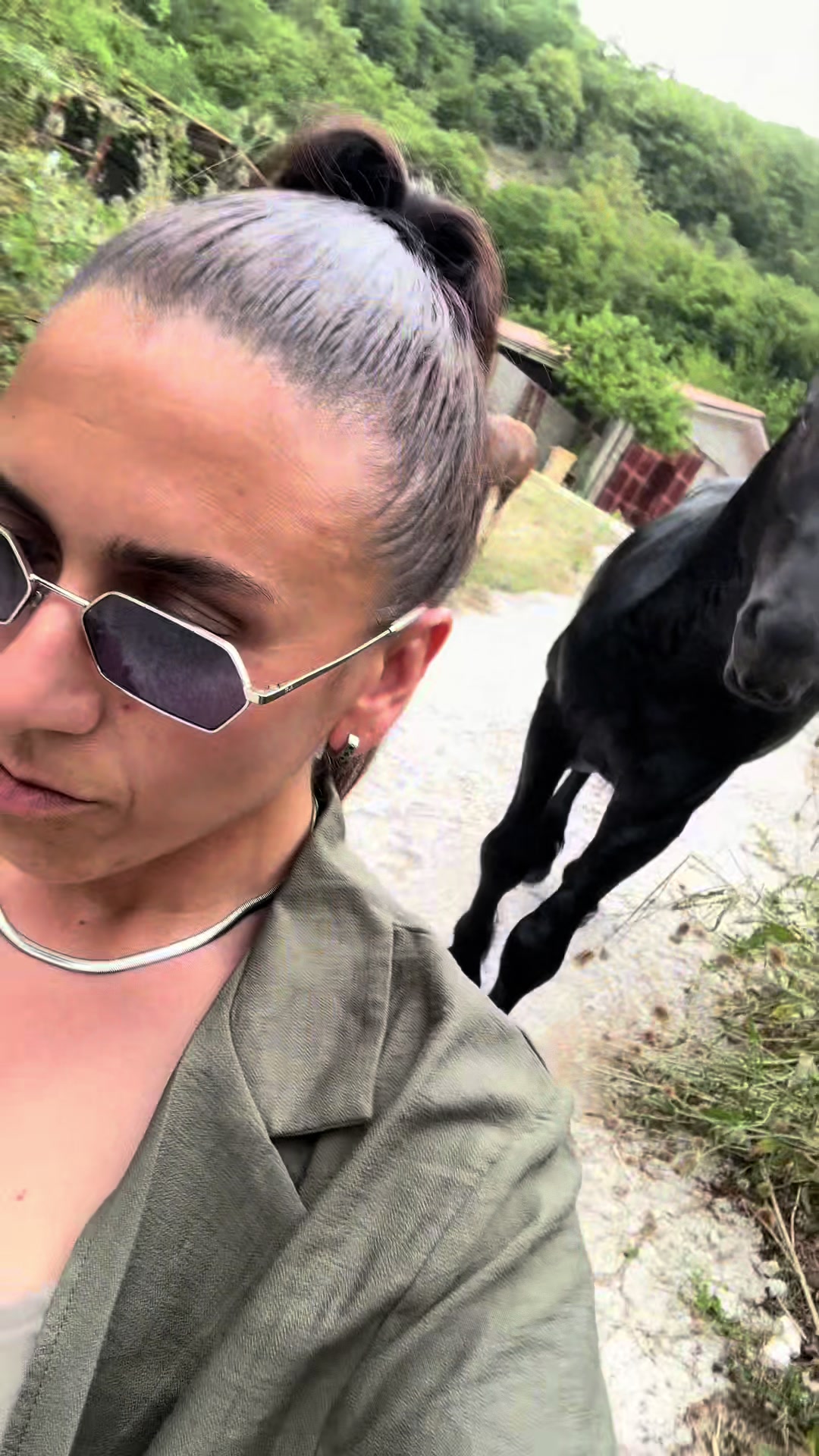 @black_the_friesian