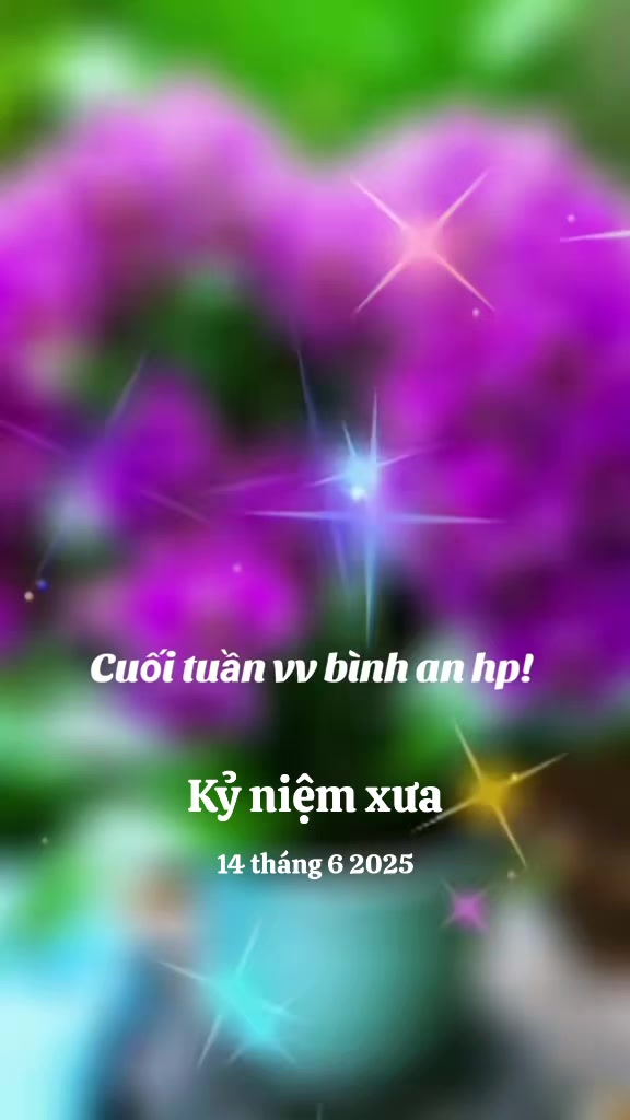 @nguyễn dung