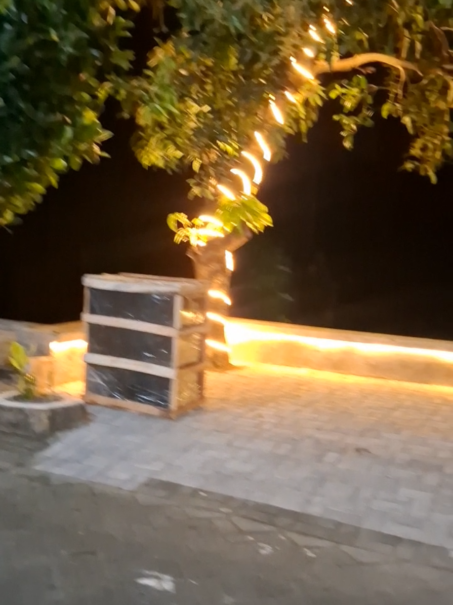 @Wiwin LOVELY