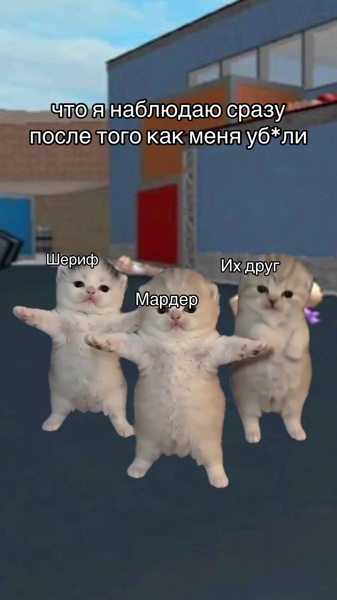 @⋆。°✩ 𝓐𝓷𝓰𝓮𝓵𝓸𝓬𝓱𝓮𝓴 ✩°。⋆