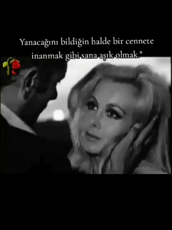 @dijle34