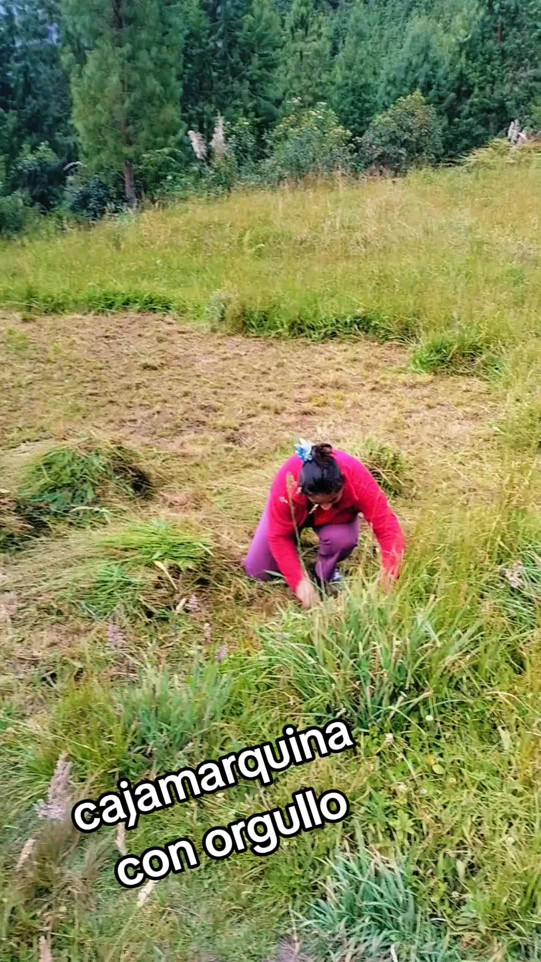 @florthalia28