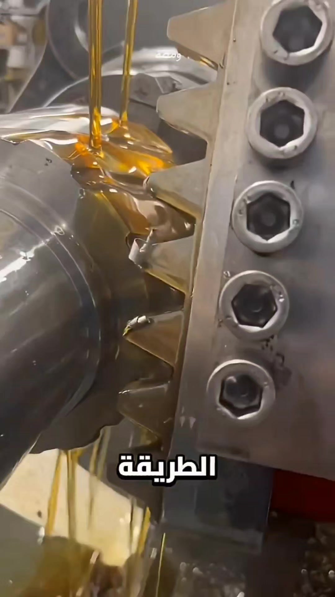 @زِيـــن علـي