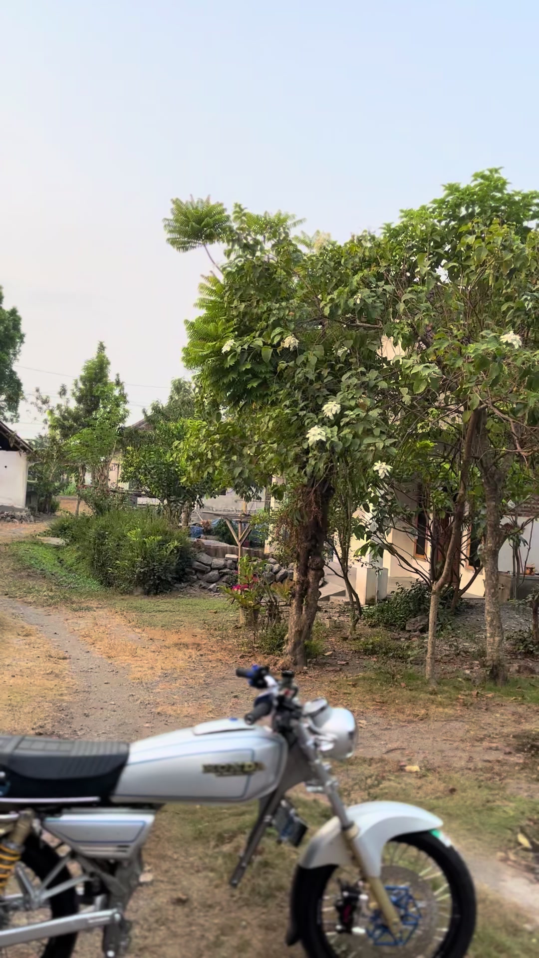 @mayangarage